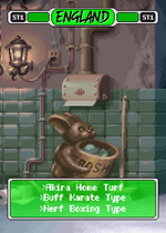 Load image into Gallery viewer, Pixel Vixen Stage Cards