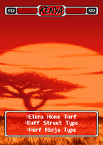 Load image into Gallery viewer, Pixel Vixen Stage Cards