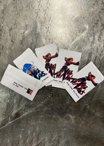 Load image into Gallery viewer, Pixel Vixens Booster Pack