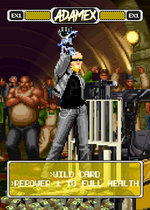 Load image into Gallery viewer, AdamEX Power Card - Pixel Vixen #34B
