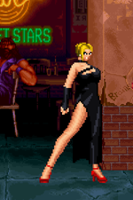 Load image into Gallery viewer, The Daily Vixen
