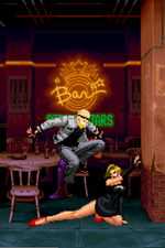 Load image into Gallery viewer, The Daily Vixen
