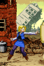 Load image into Gallery viewer, The Daily Vixen
