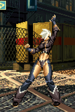 Load image into Gallery viewer, The Daily Vixen
