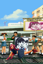 Load image into Gallery viewer, The Daily Vixen
