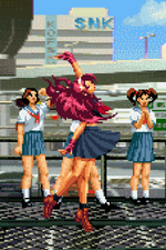 Load image into Gallery viewer, The Daily Vixen
