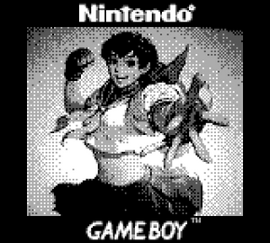 GameBoy Camera Floppy Vol 1