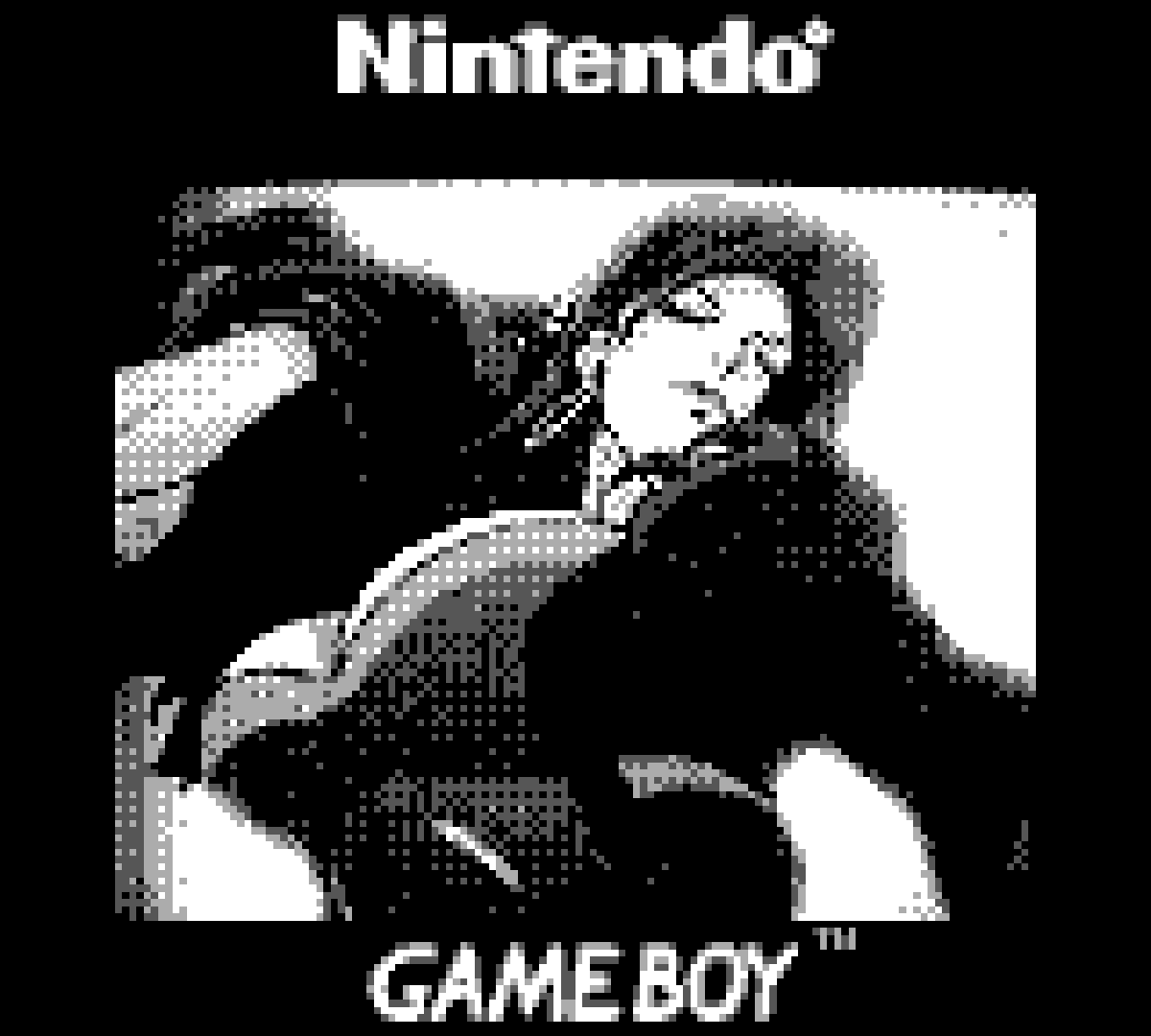 GameBoy Camera Floppy Vol 1