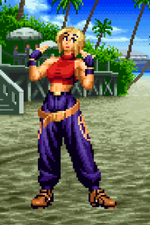 Load image into Gallery viewer, The Daily Vixen
