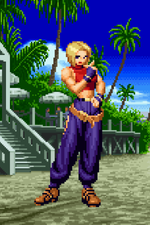 Load image into Gallery viewer, The Daily Vixen
