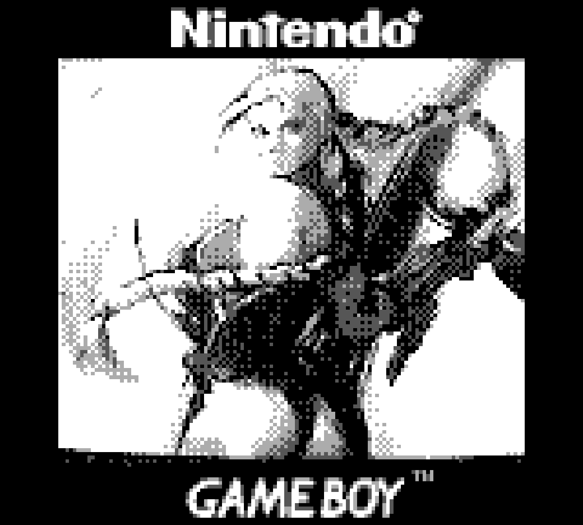 GameBoy Camera Floppy Vol 1