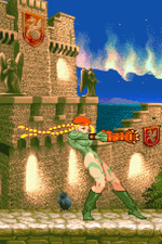 Load image into Gallery viewer, The Daily Vixen
