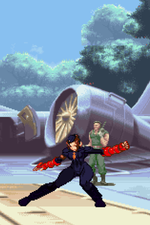 Load image into Gallery viewer, The Daily Vixen
