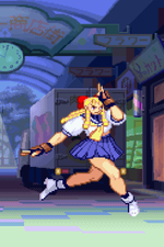 Load image into Gallery viewer, The Daily Vixen
