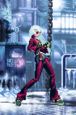 Load image into Gallery viewer, The Daily Vixen
