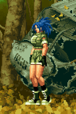 Load image into Gallery viewer, The Daily Vixen
