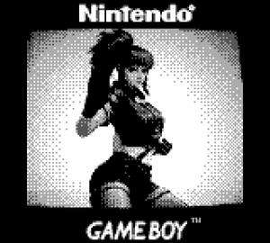 GameBoy Camera Floppy Vol 1