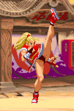 Load image into Gallery viewer, The Daily Vixen
