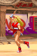 Load image into Gallery viewer, The Daily Vixen
