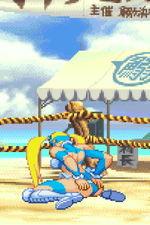 Load image into Gallery viewer, The Daily Vixen
