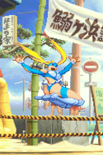 Load image into Gallery viewer, The Daily Vixen
