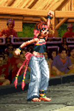 Load image into Gallery viewer, The Daily Vixen
