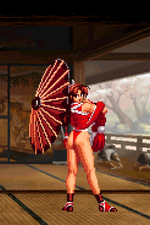 Load image into Gallery viewer, The Daily Vixen
