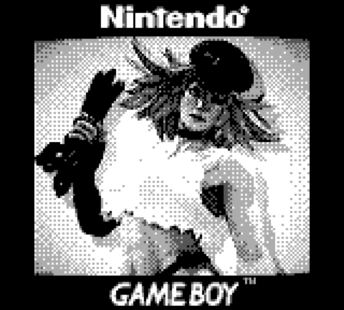 GameBoy Camera Floppy Vol 1