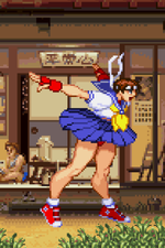 Load image into Gallery viewer, The Daily Vixen
