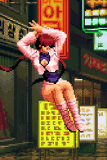 Load image into Gallery viewer, The Daily Vixen
