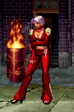 Load image into Gallery viewer, The Daily Vixen
