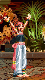 Load image into Gallery viewer, The Daily Vixen
