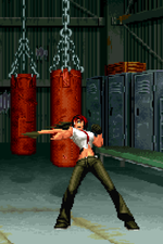 Load image into Gallery viewer, The Daily Vixen
