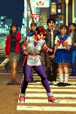 Load image into Gallery viewer, The Daily Vixen
