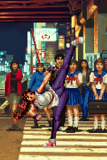 Load image into Gallery viewer, The Daily Vixen
