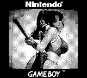 GameBoy Camera Floppy Vol 1