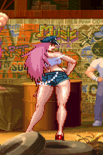 Load image into Gallery viewer, The Daily Vixen
