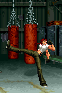 Vanessa Front Kick - Pixel Vixen #98